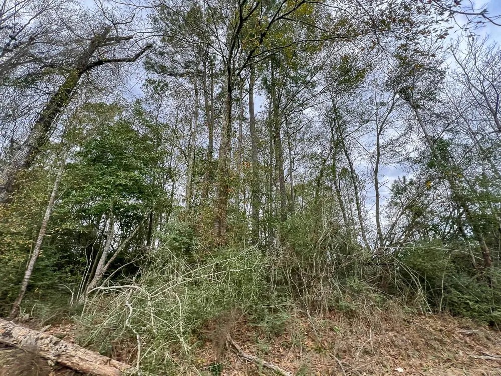 2 Cr 4590 Spurger, TX 77660