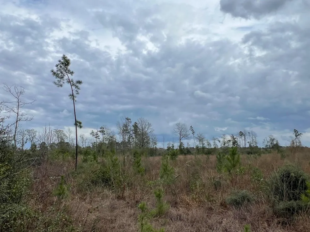 2 Cr 4590 Spurger, TX 77660