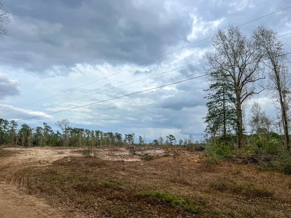 2 Cr 4590 Spurger, TX 77660