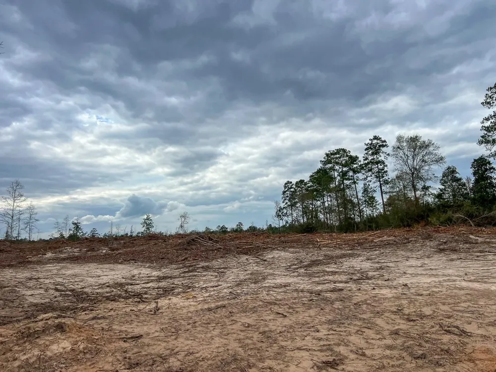 2 Cr 4590 Spurger, TX 77660