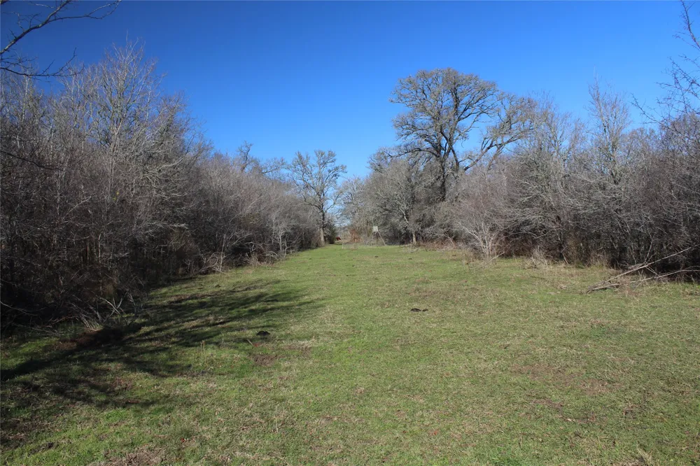 1223 County Road 429 Dime Box, TX 77853