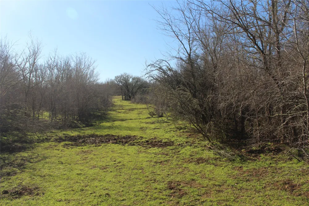 1223 County Road 429 Dime Box, TX 77853