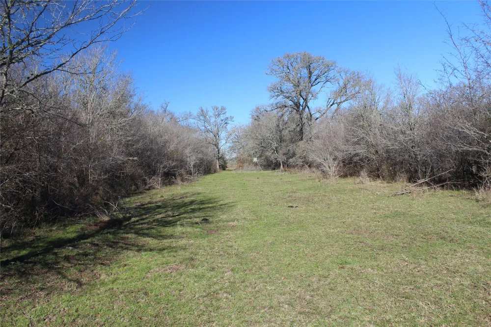 1223 County Road 429 Dime Box, TX 77853