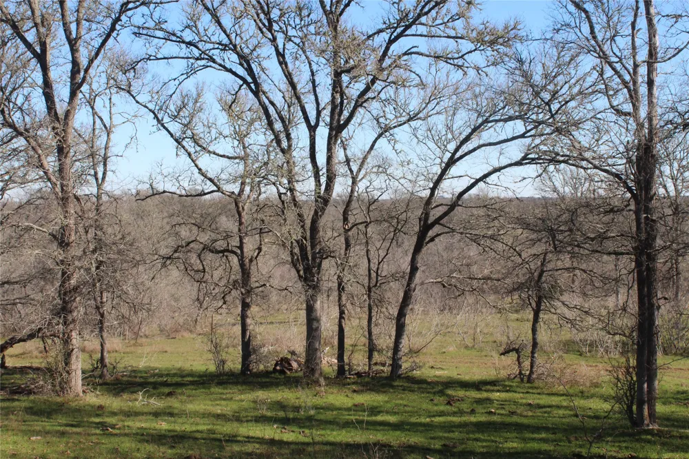 1223 County Road 429 Dime Box, TX 77853