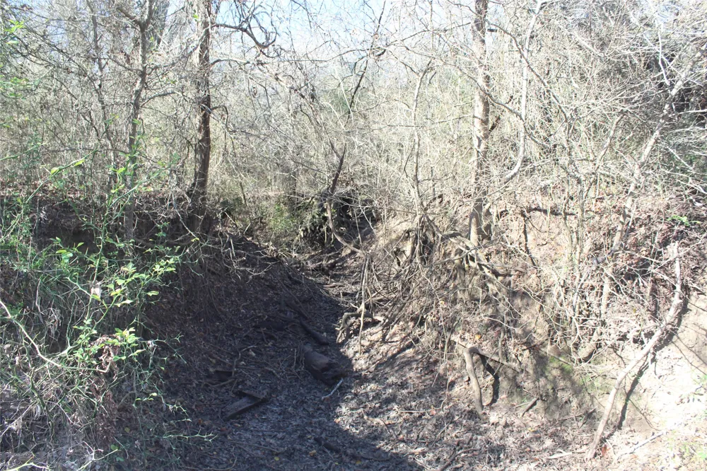 1223 County Road 429 Dime Box, TX 77853