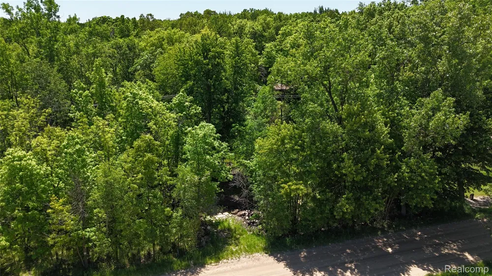 Williams Road Argentine Township, MI 48436