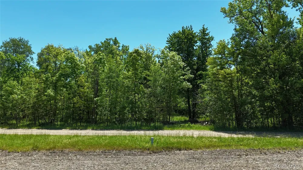Williams Road Argentine Township, MI 48436