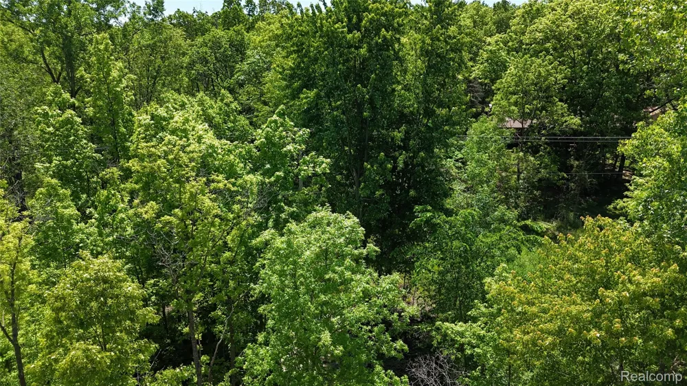 Williams Road Argentine Township, MI 48436