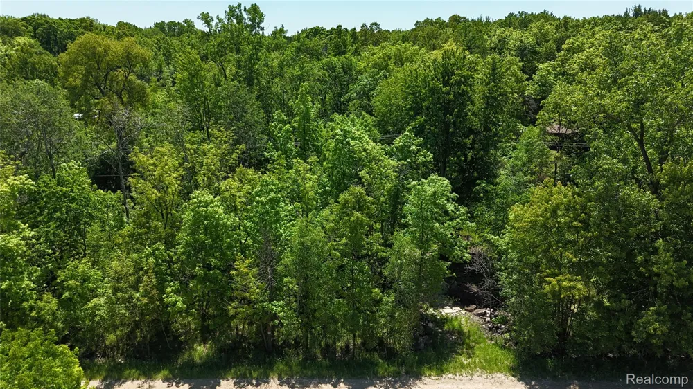 Williams Road Argentine Township, MI 48436