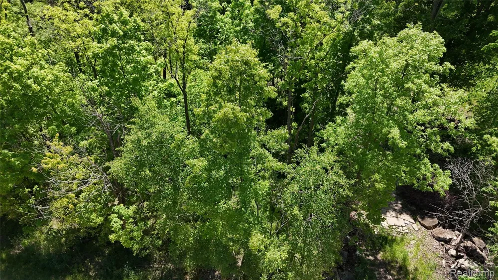 Williams Road Argentine Township, MI 48436
