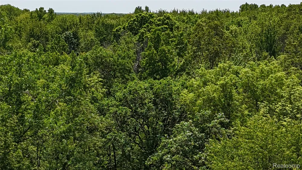 Williams Road Argentine Township, MI 48436