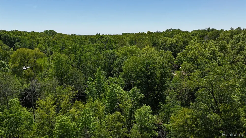 Williams Road Argentine Township, MI 48436