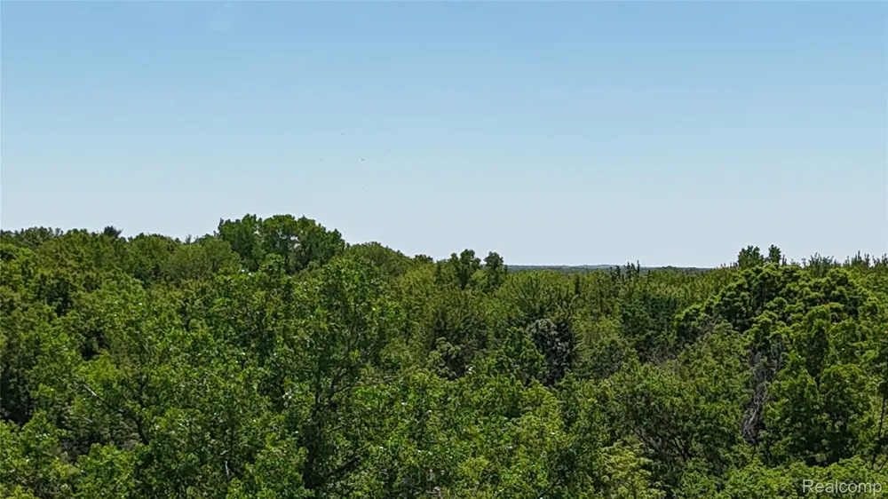 Williams Road Argentine Township, MI 48436