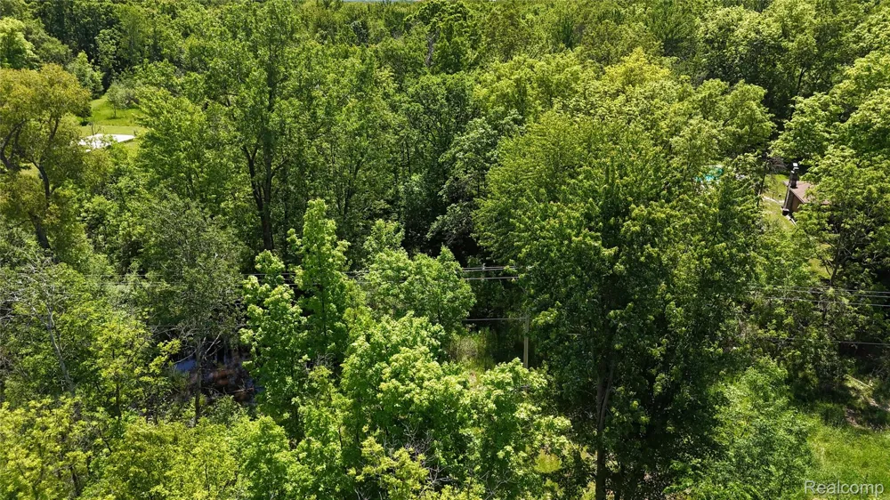 Williams Road Argentine Township, MI 48436