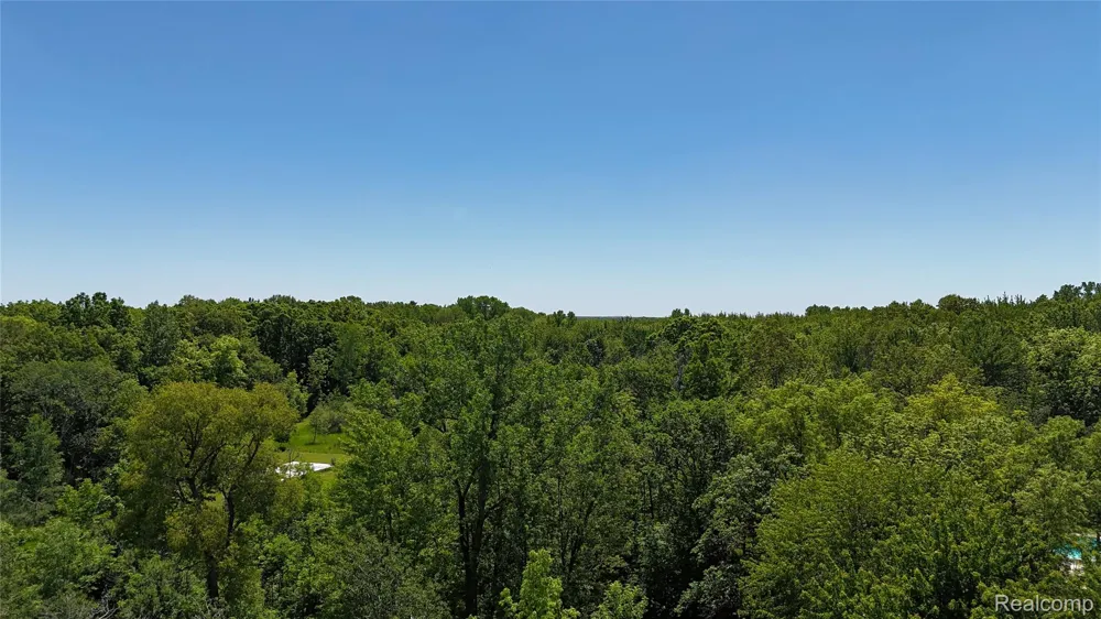 Williams Road Argentine Township, MI 48436