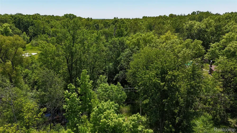 Williams Road Argentine Township, MI 48436