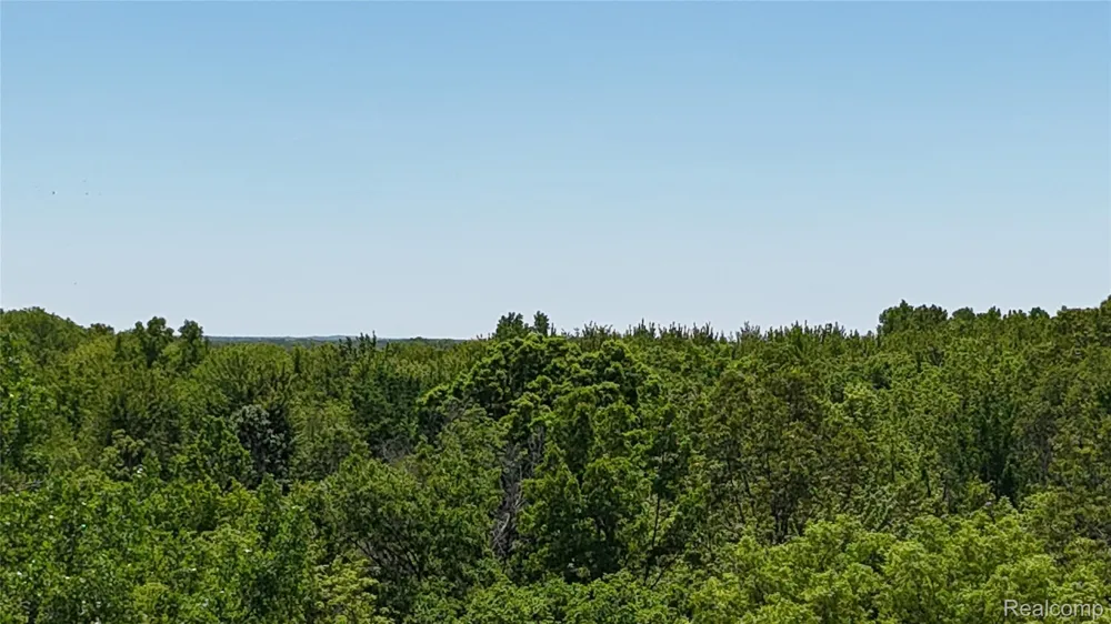 Williams Road Argentine Township, MI 48436