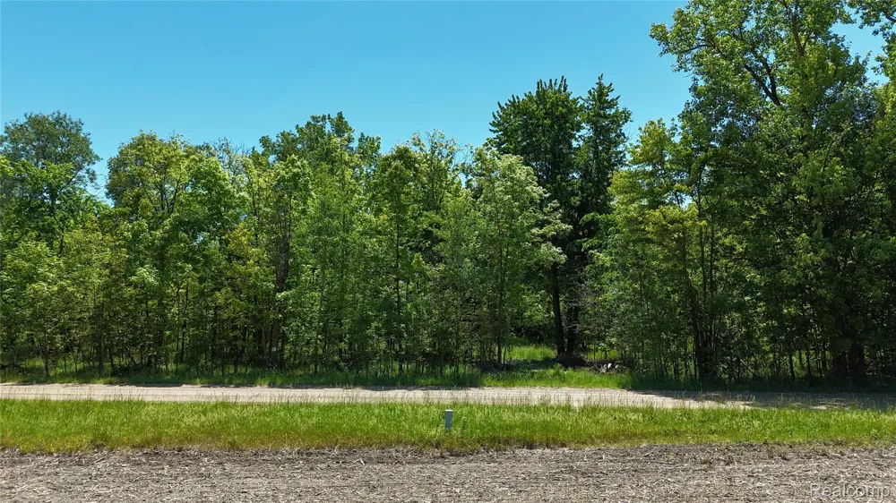 Williams Road Argentine Township, MI 48436