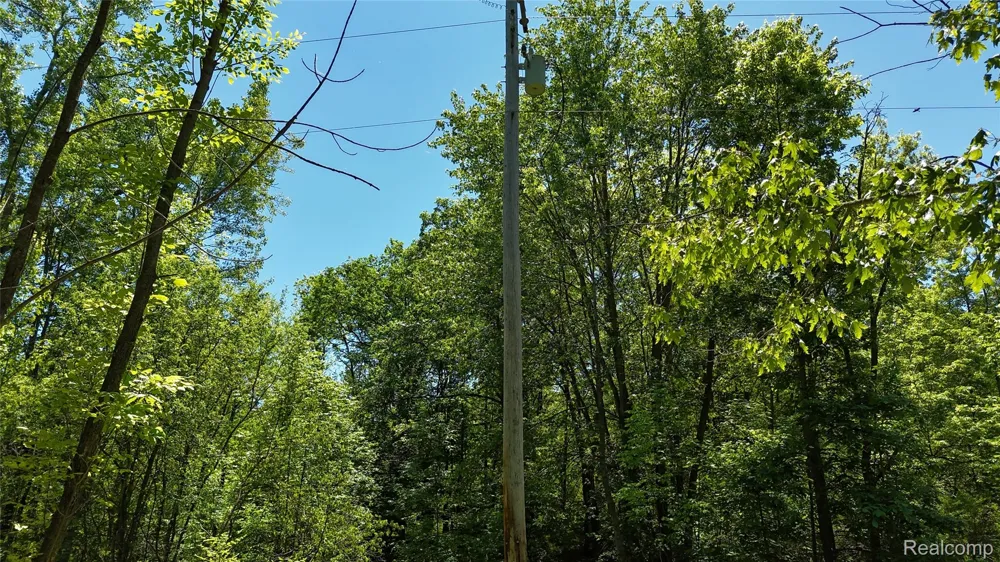 Williams Road Argentine Township, MI 48436