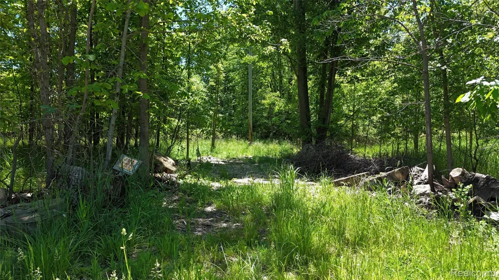 Williams Road Argentine Township, MI 48436