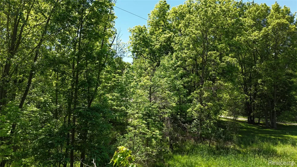 Williams Road Argentine Township, MI 48436