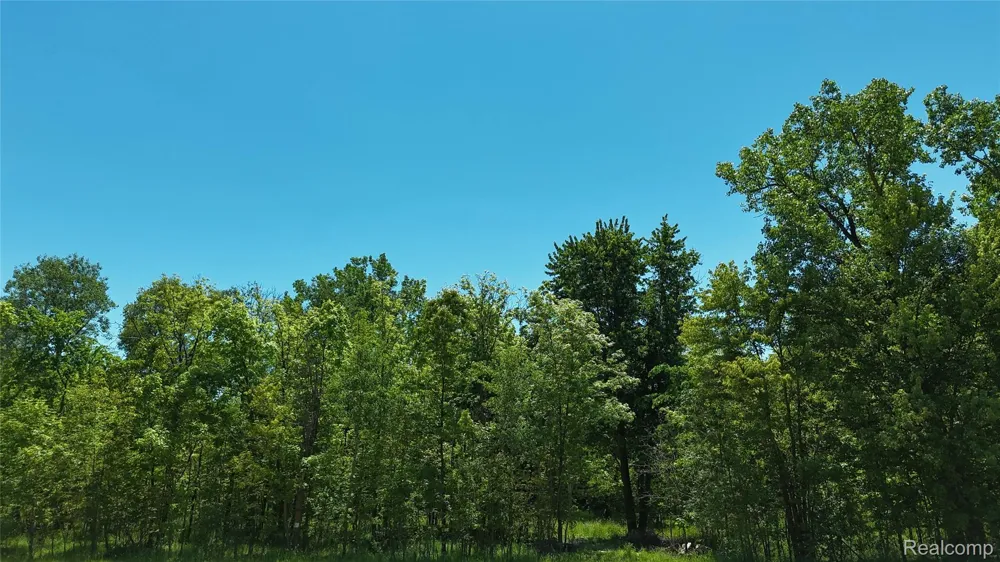 Williams Road Argentine Township, MI 48436