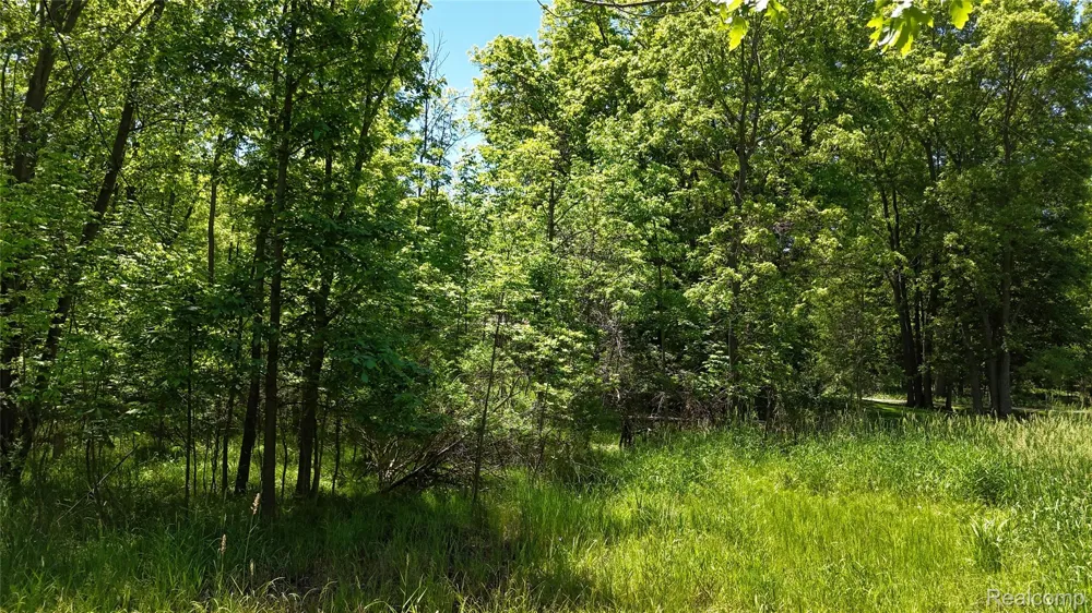 Williams Road Argentine Township, MI 48436
