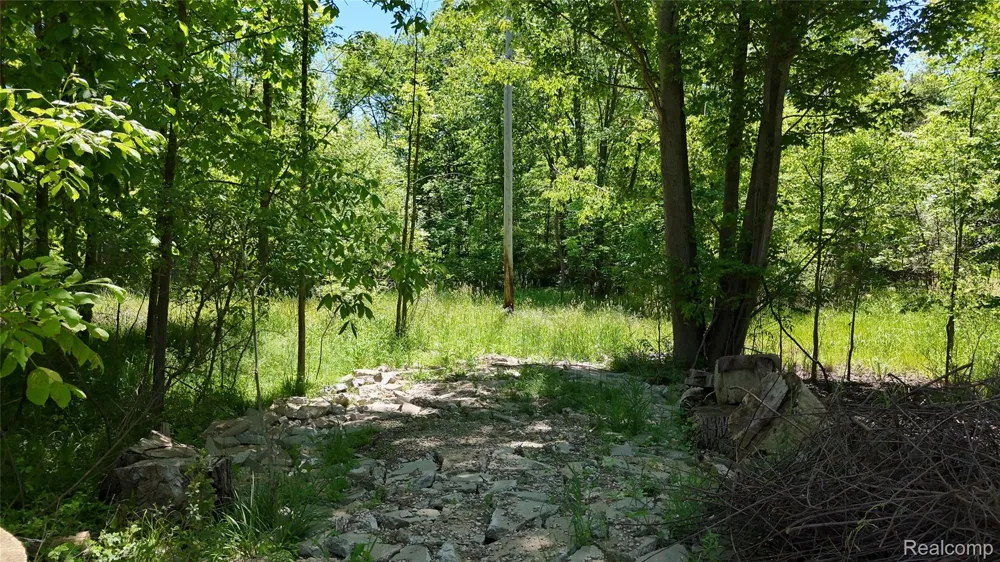 Williams Road Argentine Township, MI 48436