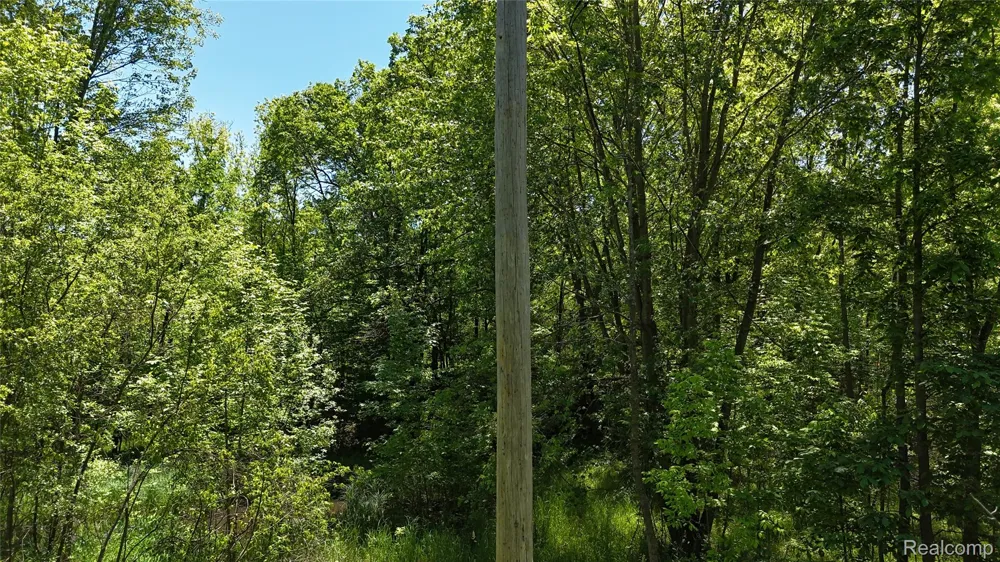 Williams Road Argentine Township, MI 48436