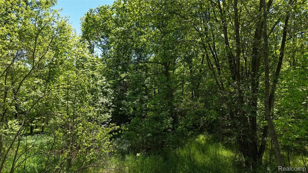 Williams Road Argentine Township, MI 48436