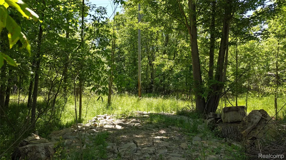 Williams Road Argentine Township, MI 48436