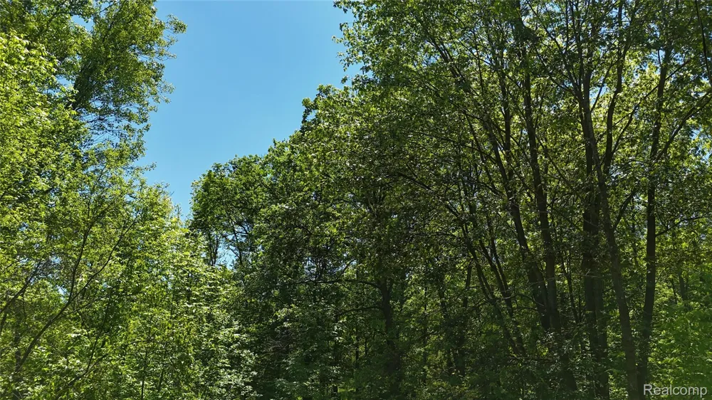 Williams Road Argentine Township, MI 48436