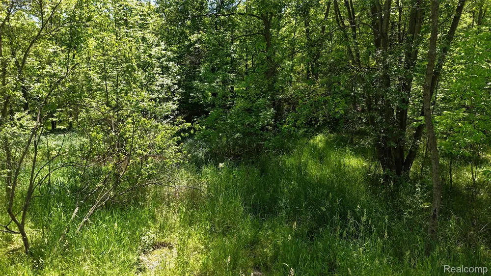 Williams Road Argentine Township, MI 48436