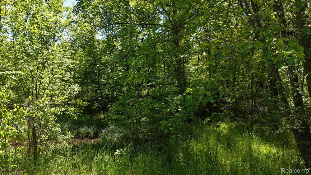 Williams Road Argentine Township, MI 48436