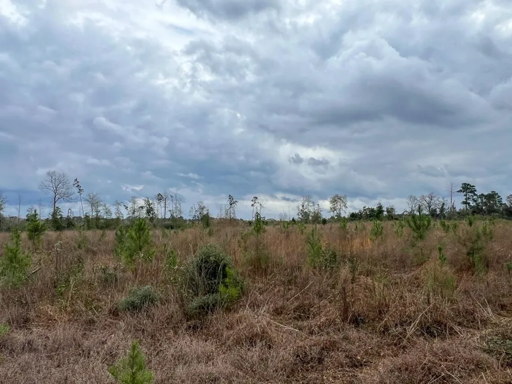5 Cr 4590 Spurger, TX 77660