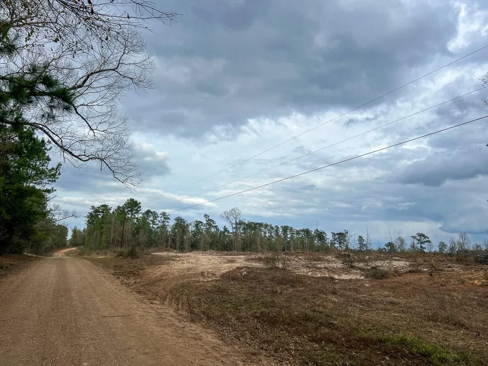 5 Cr 4590 Spurger, TX 77660