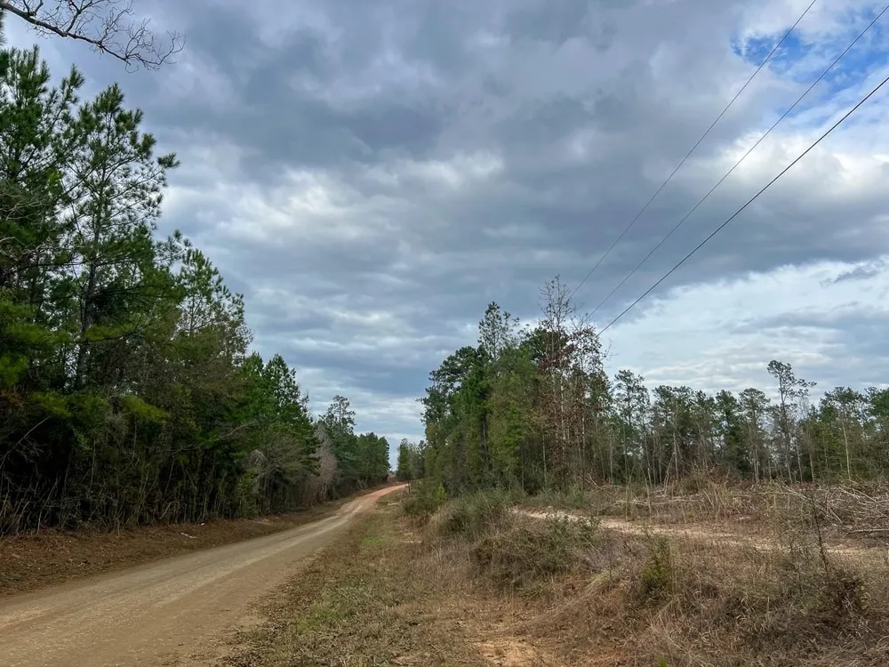 5 Cr 4590 Spurger, TX 77660