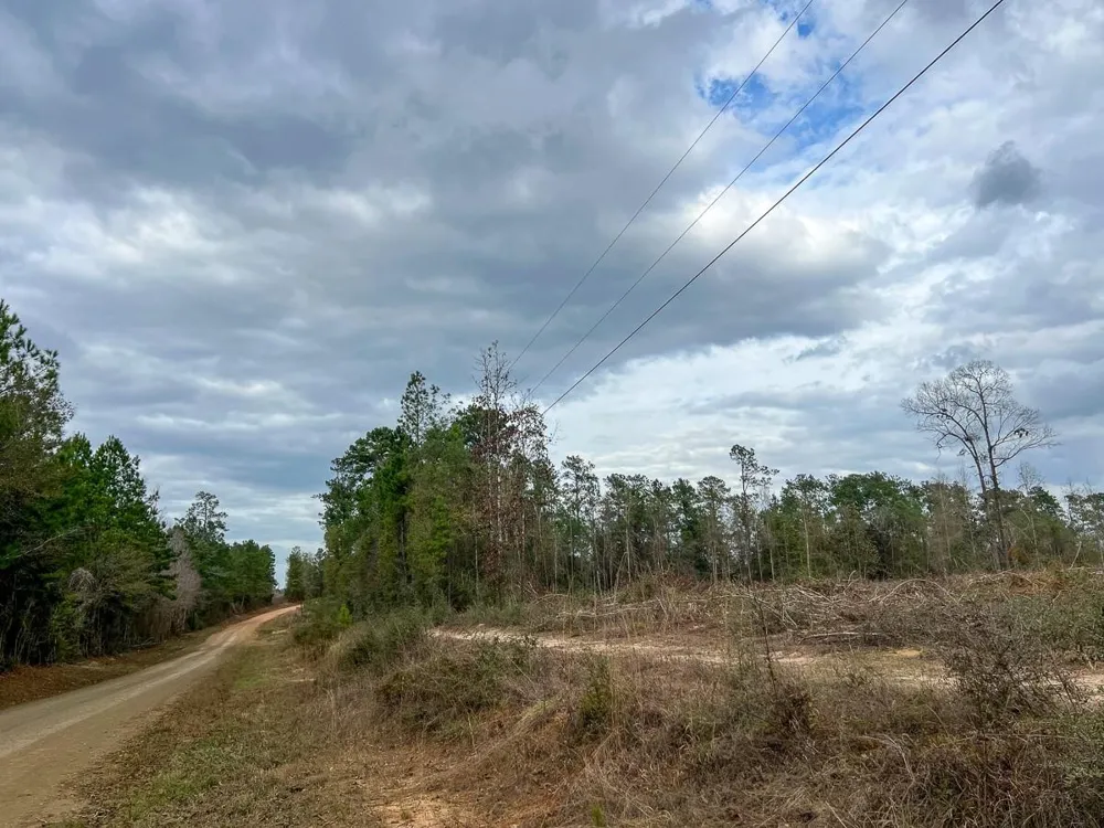 5 Cr 4590 Spurger, TX 77660