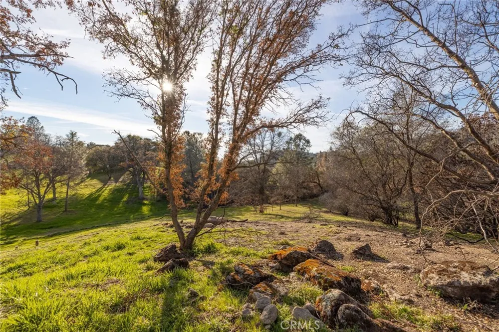 33940 Jennifer Way Coarsegold, CA 93614