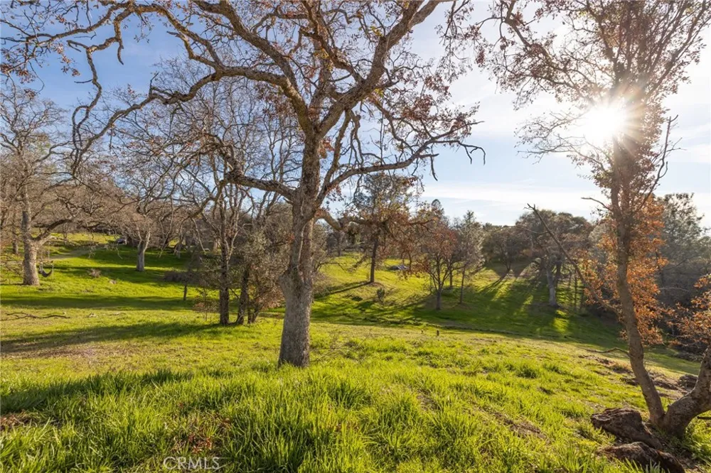 33940 Jennifer Way Coarsegold, CA 93614