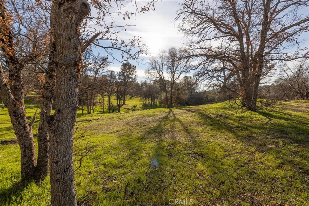 33940 Jennifer Way Coarsegold, CA 93614