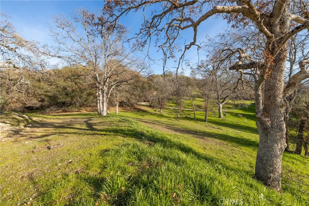 33940 Jennifer Way Coarsegold, CA 93614