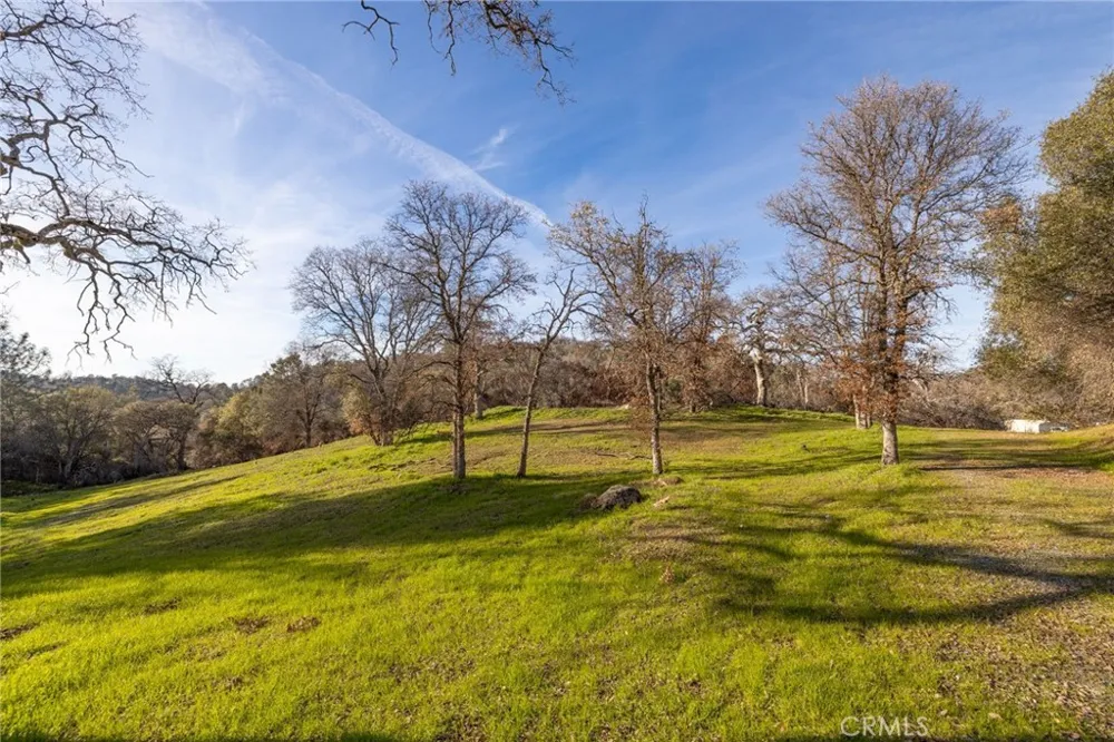 33940 Jennifer Way Coarsegold, CA 93614