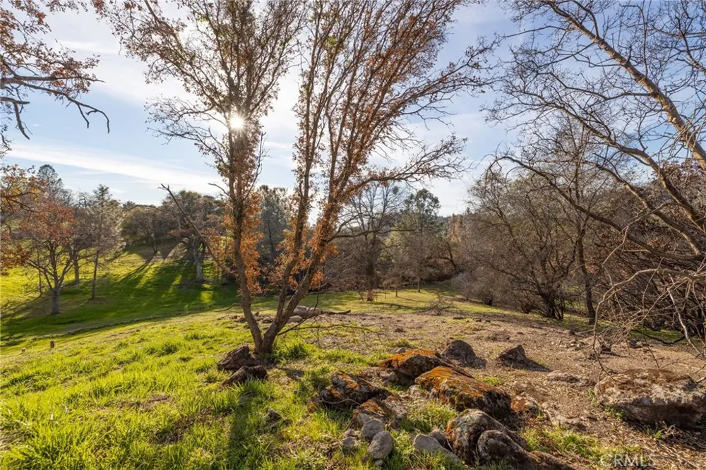33940 Jennifer Way Coarsegold, CA 93614