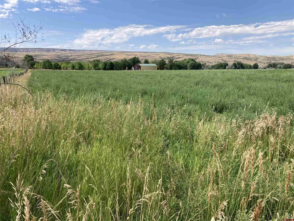 J ROAD Hotchkiss, CO 81419