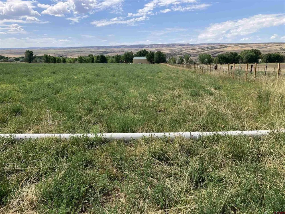J ROAD Hotchkiss, CO 81419