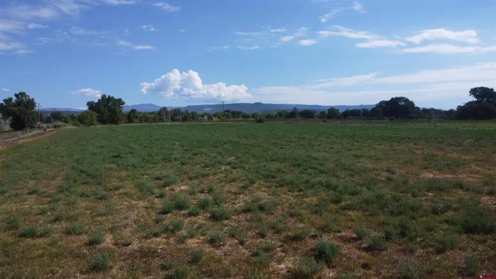 J ROAD Hotchkiss, CO 81419