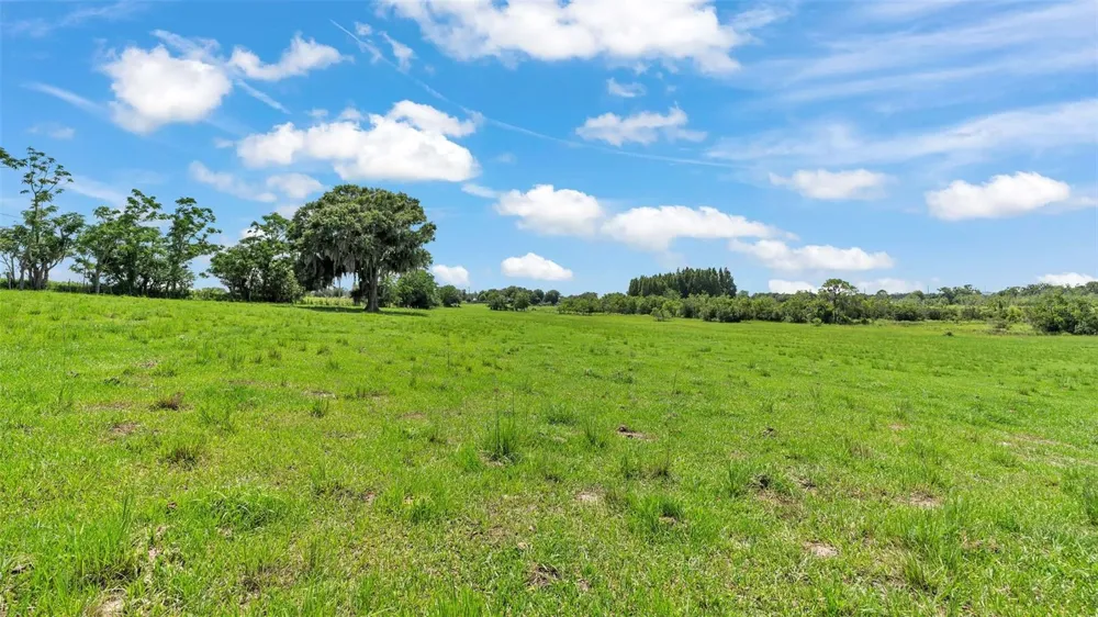 8450 ALTURAS BABSON PARK CUTOFF ROAD Bartow, FL 33830