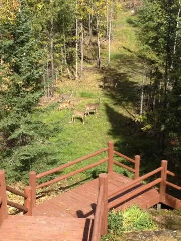 2450 Keyes Island International Falls, MN 56649