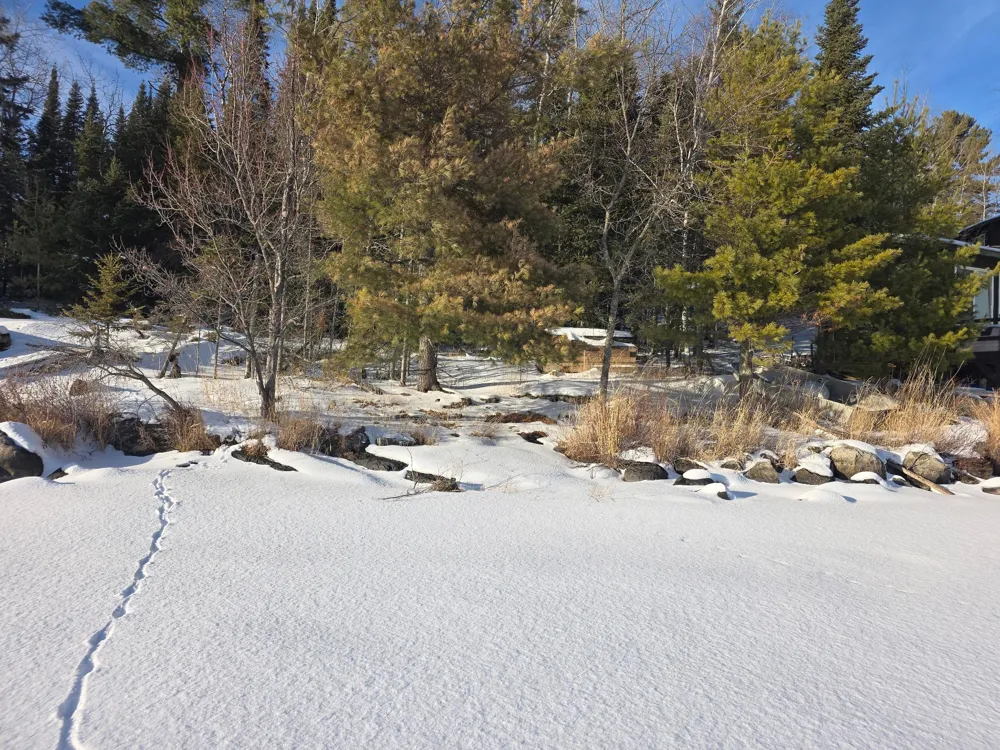 TBD Keyes Island International Falls, MN 56649